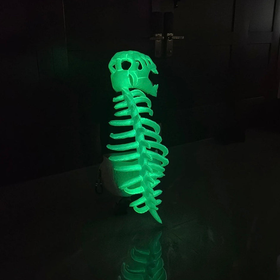 Kidsilla® Dino Skeleton Costume