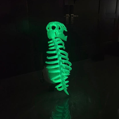 Kidsilla® Dino Skeleton Costume
