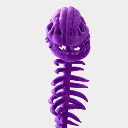 Kidsilla® Dino Skeleton Costume