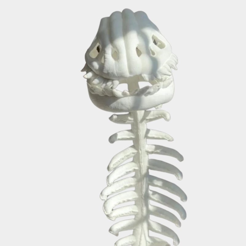 Kidsilla® Dino Skeleton Costume